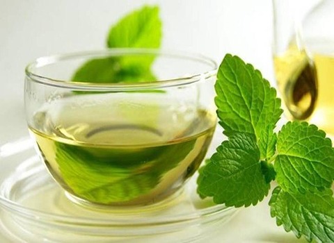 تصویر 1 از قیمت عرق نعنا تند پامچال + خرید باور نکردنی