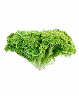 تصویر 4 از خرید و قیمت کاهو فرانسوی مشهد + فروش صادراتی