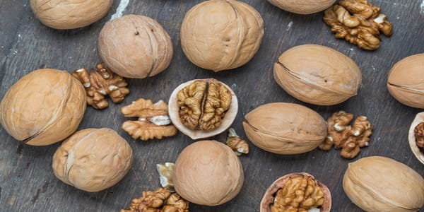 تصویر 2 از خرید گردو پوست کاغذی تویسرکان + قیمت فروش استثنایی