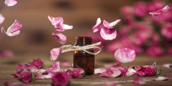 تصویر 5 از قیمت اسانس گل محمدی باریج + خرید باور نکردنی