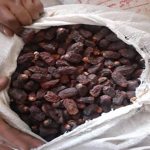 خرید و قیمت ضایعات خرما بوشهر + فروش صادراتی