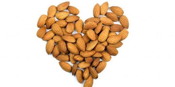 تصویر 1 از خرید و فروش مغز بادام مامائی با شرایط فوق العاده