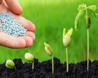 تصویر 2 از قیمت خرید کودهای ارگانیک نانو + فروش ویژه