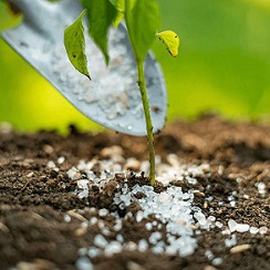 قیمت خرید کودهای ارگانیک نانو + فروش ویژه
