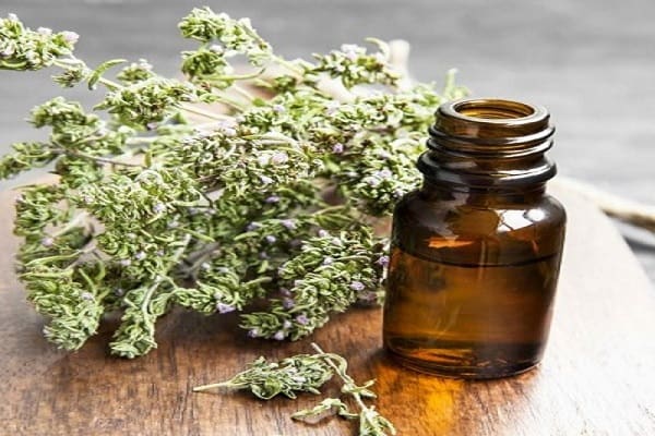 تصویر 2 از خرید اسانس آویشن شیرازی + قیمت فروش استثنایی
