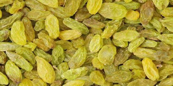تصویر 4 از قیمت کشمش سبز درجه یک + خرید باور نکردنی