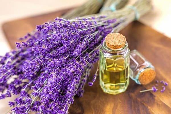 تصویر 2 از قیمت خرید اسانس اسطوخودوس الیس + فروش ویژه