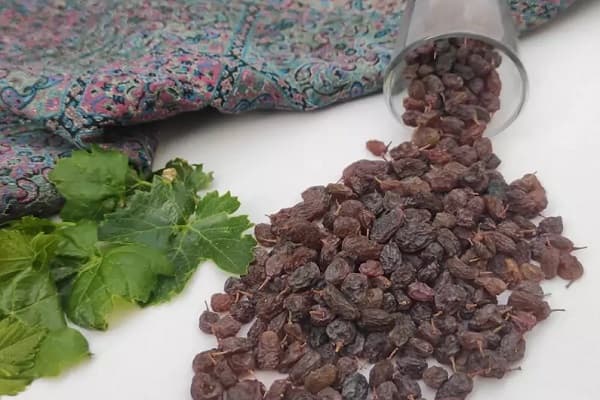 تصویر 3 از قیمت خرید کشمش آفتابی ملایر + فروش ویژه