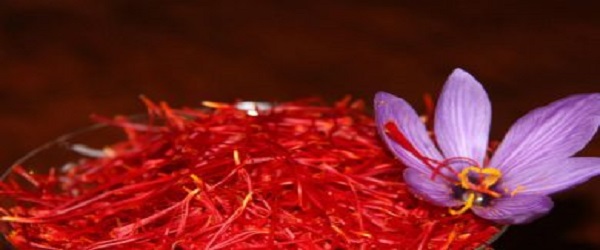 تصویر 2 از خرید زعفران زرد طلایی + قیمت فروش استثنایی