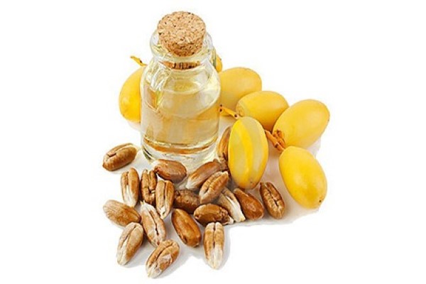 تصویر 2 از قیمت روغن هسته خرما خوراکی + خرید باور نکردنی