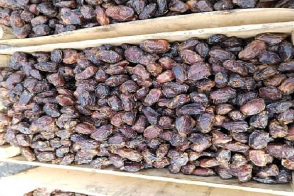 تصویر 4 از فروش خرمای کروت بم + قیمت خرید به صرفه