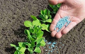 تصویر 3 از قیمت خرید نانو کود پتاسیم + فروش ویژه