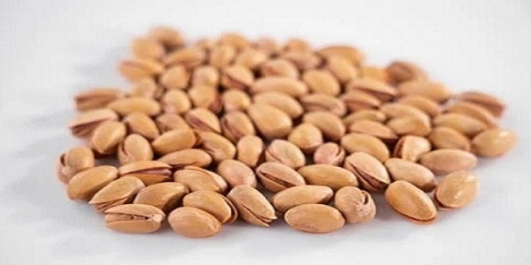 تصویر 5 از قیمت پسته اکبری شور با کیفیت ارزان + خرید عمده