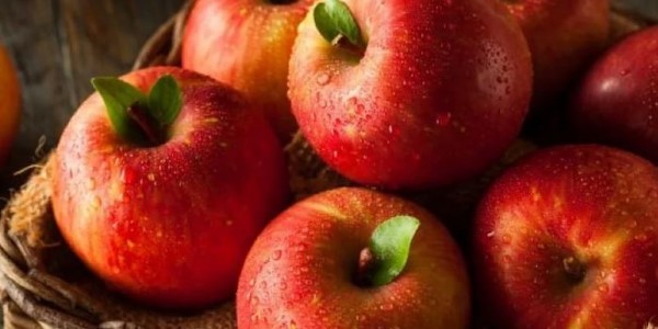 تصویر 2 از سیب سرخ ارومیه تازه و ماندگار برای نگهداری