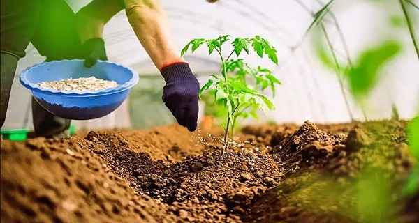 تصویر 3 از قیمت کود نانو ارگانیک + خرید باور نکردنی