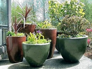 تصویر 3 از خرید و قیمت گلدان پلاستیکی گلسا + فروش عمده