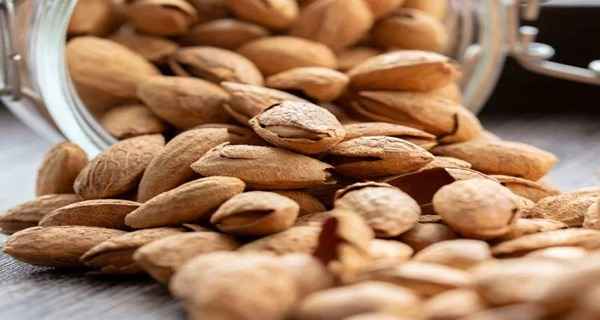 تصویر 3 از قیمت عمده بادام درختی آمریکایی + سود بالا