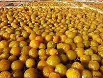 تصویر 4 از قیمت خرید آلو زرد خشک با فروش عمده