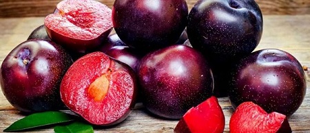 تصویر 5 از قیمت و خرید آلو قرمز خشک + فروش ارزان