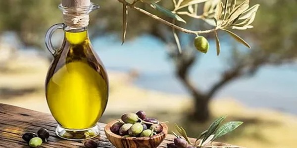 تصویر 4 از خرید و قیمت روغن زیتون رودبار + فروش صادراتی