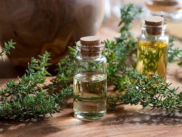 تصویر 5 از قیمت خرید اسانس آویشن باغی + فروش ویژه
