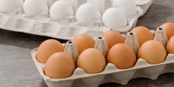 تصویر 4 از خرید و قیمت شانه مقوایی تخم مرغ + فروش صادراتی