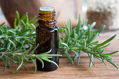 تصویر 3 از قیمت خرید اسانس رزماری باریج + فروش ویژه