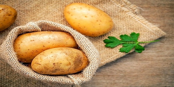 تصویر 5 از قیمت سیب زمینی شیرین مشهد + خرید باور نکردنی