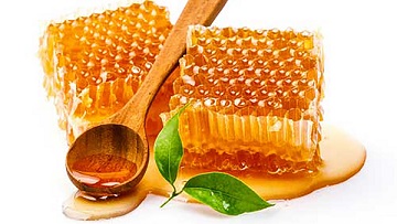 تصویر 4 از قیمت خرید عسل نیمه تغذیه + فروش ویژه