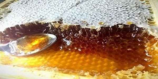 تصویر 2 از قیمت عسل موم دار اردبیل + خرید باور نکردنی