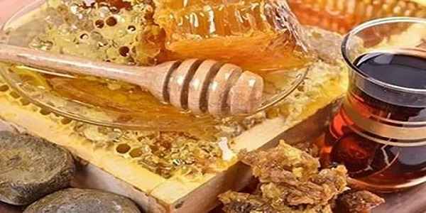 تصویر 5 از قیمت عسل موم دار اردبیل + خرید باور نکردنی