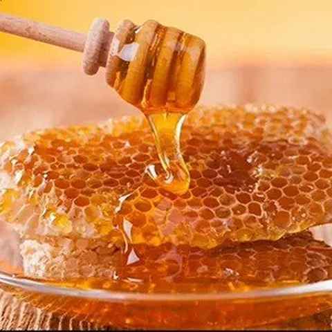 قیمت عسل موم دار اردبیل + خرید باور نکردنی