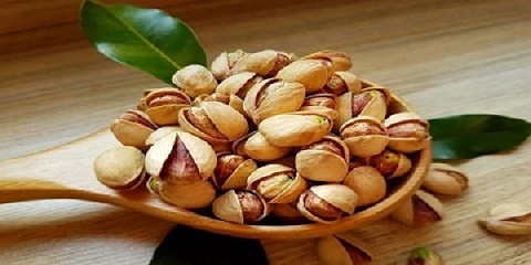تصویر 1 از خرید جدیدترین انواع پسته تازه اکبری