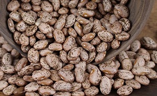تصویر 4 از قیمت خرید لوبیا چیتی تازه + فروش ویژه