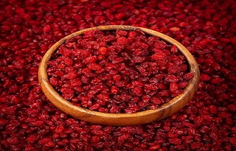 تصویر 5 از قیمت خرید زرشک زیر تالاری + فروش ویژه