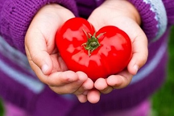 تصویر 4 از قیمت رب گوجه خانگی اصفهان  با کیفیت ارزان + خرید عمده