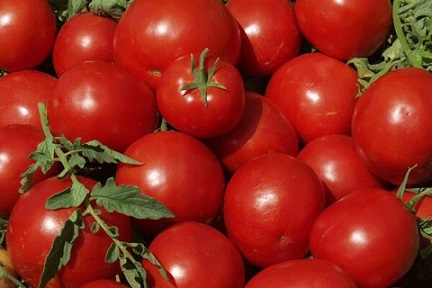 تصویر 2 از فروش صیفی جات کم آب بر  + قیمت خرید به صرفه