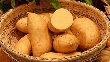 تصویر 2 از قیمت خرید سیب زمینی شیرین + فروش ویژه