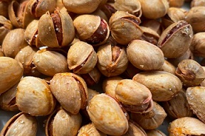 تصویر 5 از قیمت خرید پسته کوهی درجه یک با فروش عمده