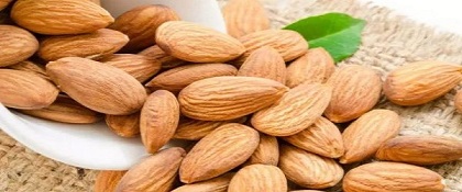 تصویر 5 از قیمت خرید بادام درختی خام ایرانی با فروش عمده