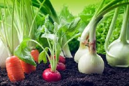 تصویر 5 از فروش دیوار پوش پی وی سی  + قیمت خرید به صرفه