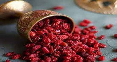 تصویر 5 از فروش زرشک کوهی لرستان  + قیمت خرید به صرفه