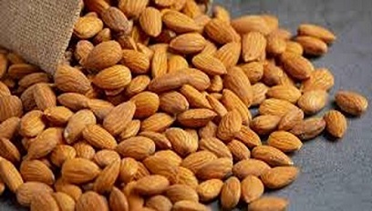 تصویر 3 از خرید بادام مامایی شور + قیمت فروش استثنایی