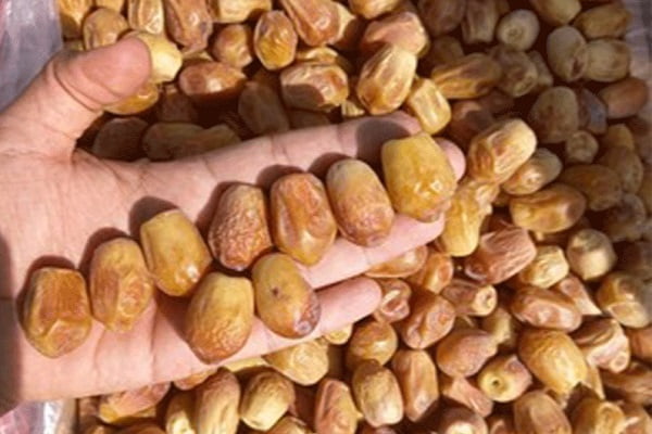 تصویر 2 از خرید خرما زاهدی ایرانی + قیمت فروش استثنایی