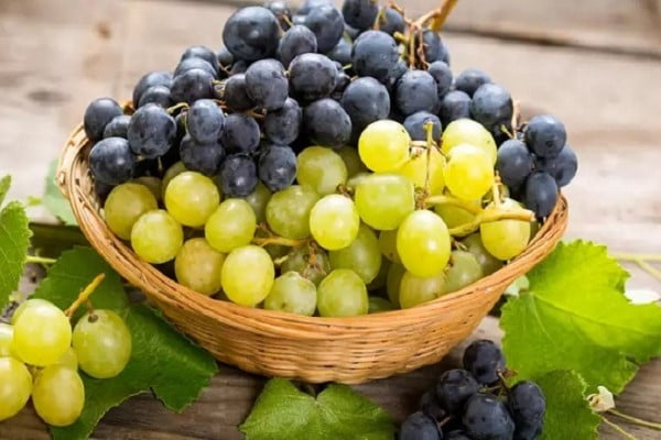 تصویر 1 از خرید و قیمت انگور زمستانی شاهرود + فروش عمده