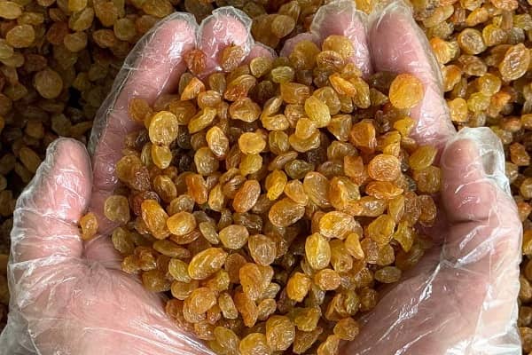 تصویر 2 از قیمت کشمش پلویی کیلویی + خرید باور نکردنی