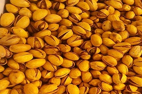 تصویر 1 از خرید و فروش پسته اکبری عمده با شرایط فوق العاده