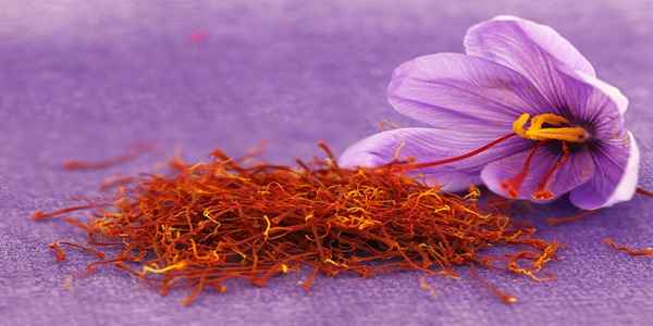 تصویر 1 از قیمت زعفران ممتاز قائنات + خرید باور نکردنی