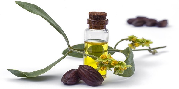 تصویر 5 از خرید روغن هسته خرما + قیمت فروش استثنایی
