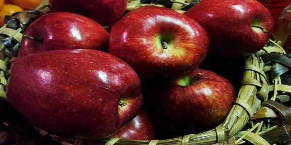 تصویر 2 از خرید و قیمت سیب سرخ دماوند + فروش عمده
